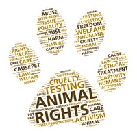 USA: New Legislation to Stop Animal Cruelty - STA Law Firm